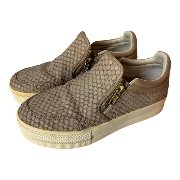 ASH Leather Slip On platform Sneaker Croc Side Zip  Women's Size US 7 EU 37 - Picture 1 of 8